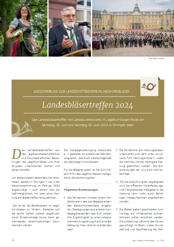 pdf-preview