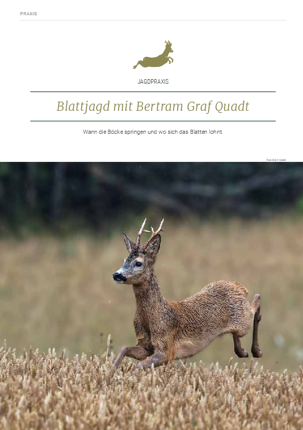 pdf-preview