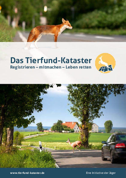 pdf-preview