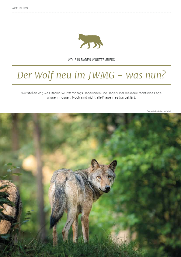 pdf-preview