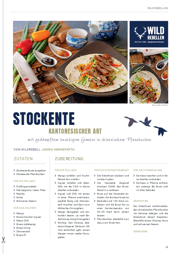pdf-preview