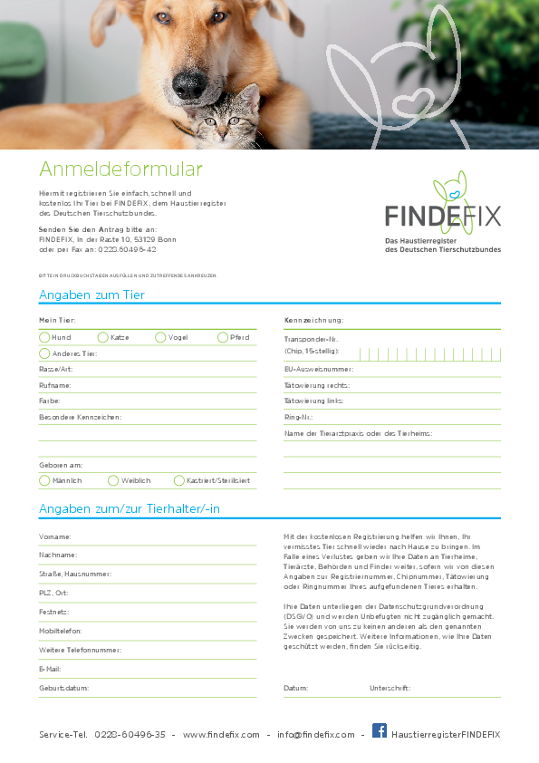 pdf-preview