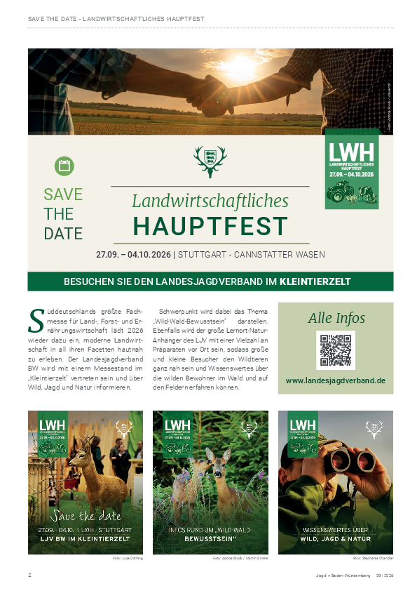 pdf-preview