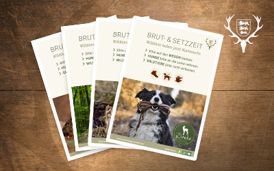 20260227_Brut-undSetzzeit_Download_400x250_Content-Teaser.png