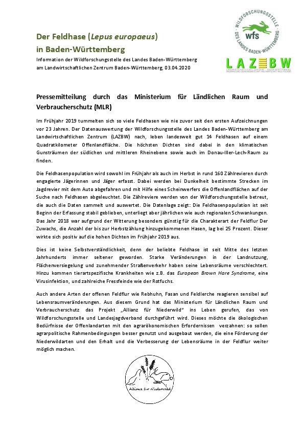 pdf-preview