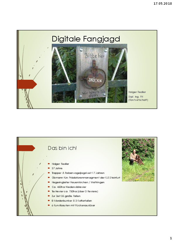 pdf-preview