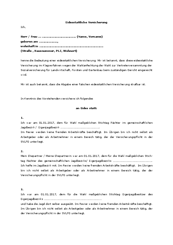 Eidesstattliche Versicherung als PDF herunterladen pdf-preview
