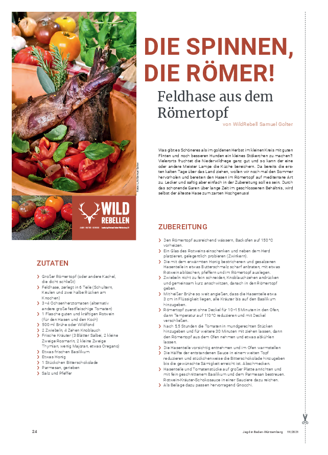 pdf-preview