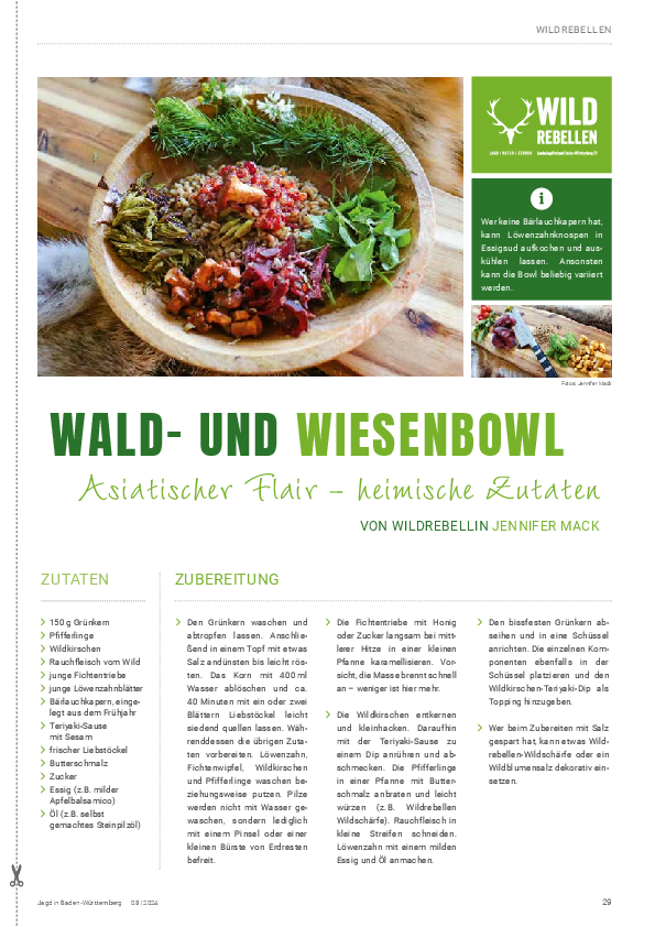 pdf-preview