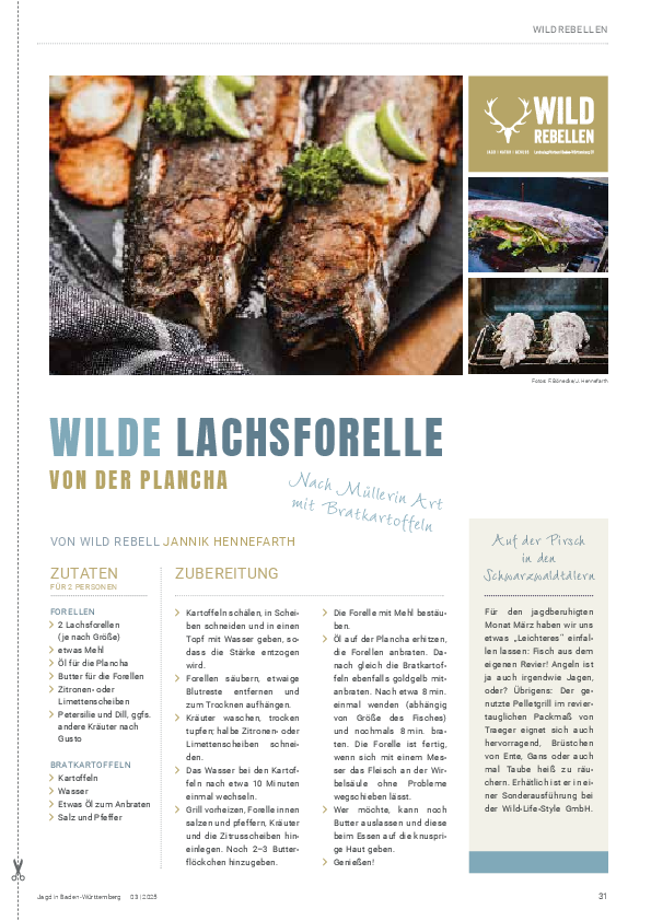 pdf-preview