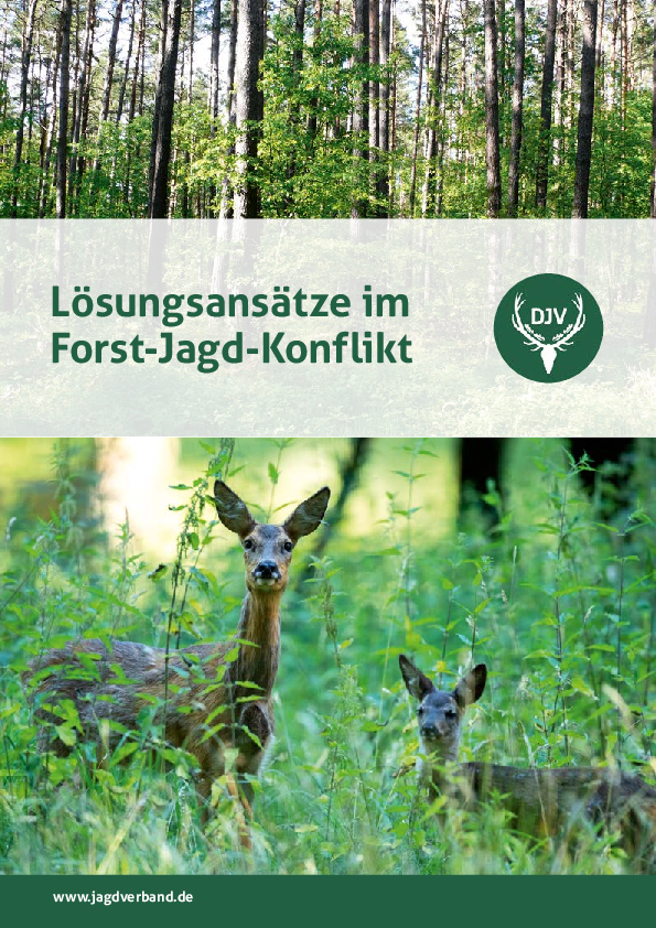 pdf-preview