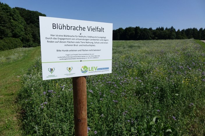 Damit sich Spaziergänger, Wanderer oder andere Interessierte informieren können, wurden an den Wegen Schilder angebracht. Foto: Greiner