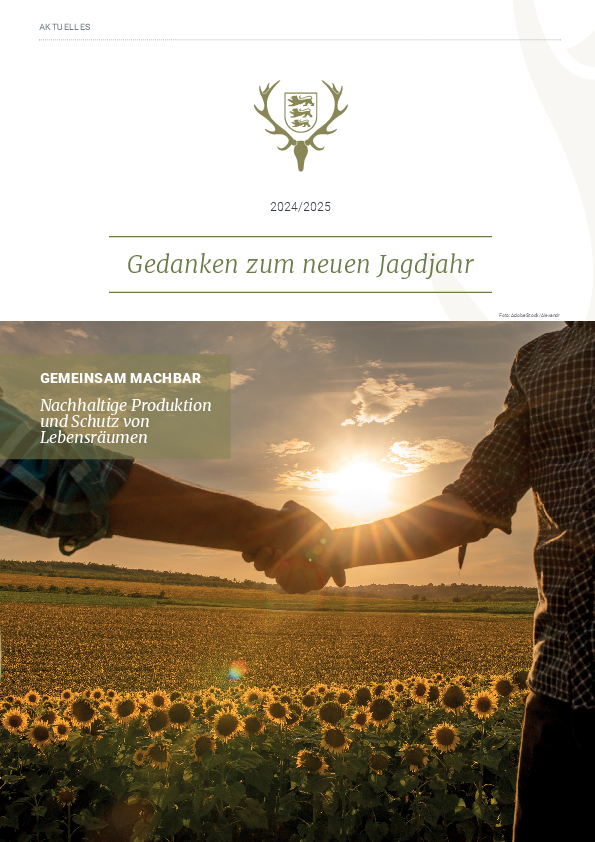 pdf-preview