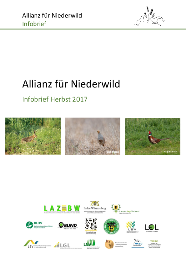 pdf-preview